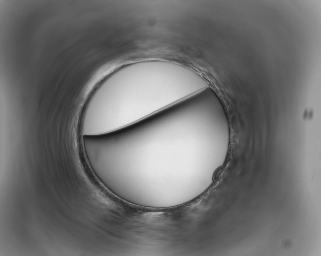 X0000102360054200808011009