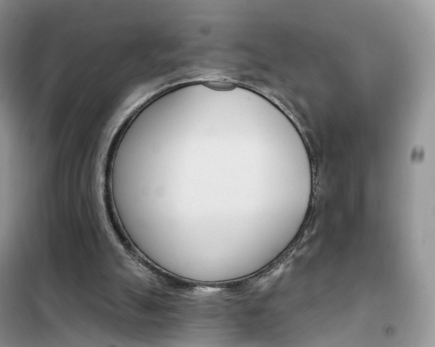 X0000102360055200808011009