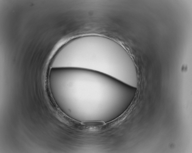 X0000102360056200808011009