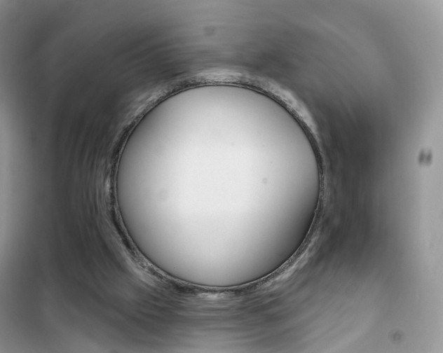 X0000102360057200808011009