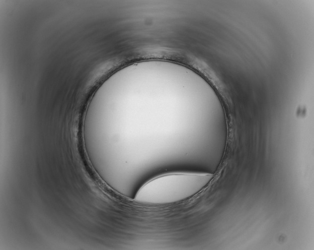 X0000102360058200808011009