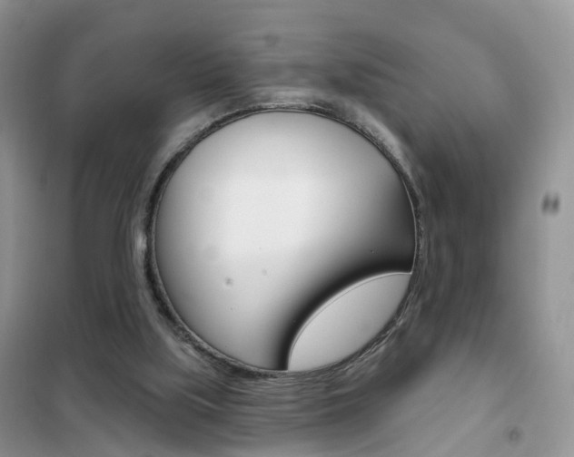 X0000102360059200808011009