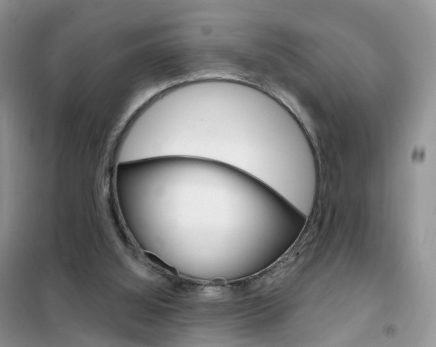 X0000102360060200808011009