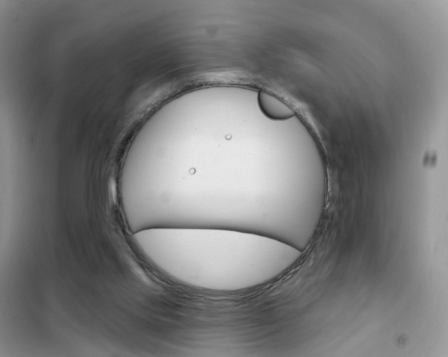 X0000102360061200808011009