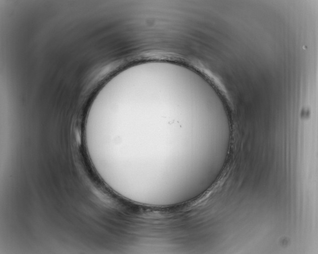 X0000102360062200808011009