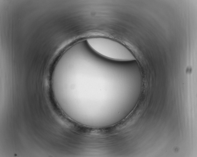 X0000102360064200808011009