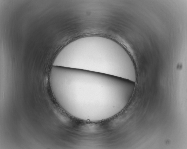 X0000102360065200808011009
