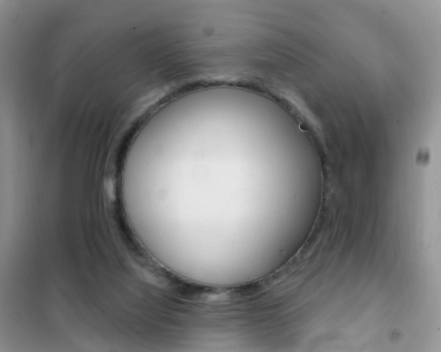 X0000102360068200808011009