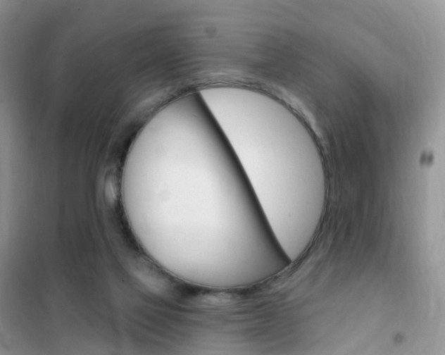 X0000102360069200808011009