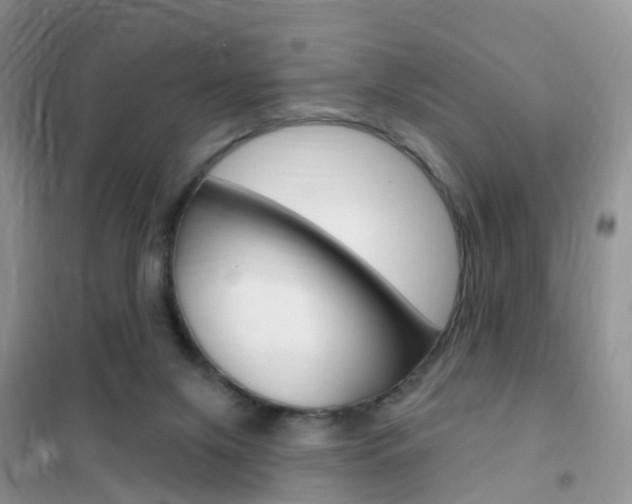 X0000102360071200808011009
