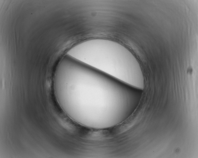 X0000102360072200808011009