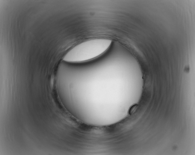 X0000102360076200808011009