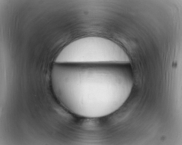 X0000102360077200808011010