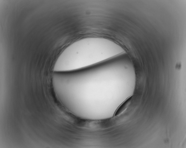 X0000102360078200808011010