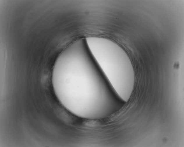X0000102360079200808011010
