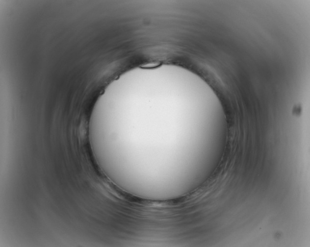 X0000102360081200808011010