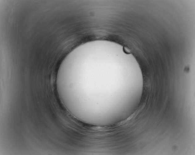 X0000102360082200808011010