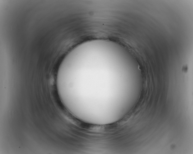 X0000102360084200808011010