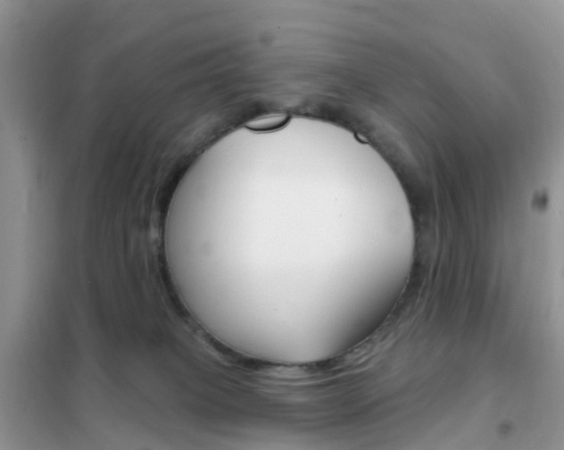 X0000102360085200808011010