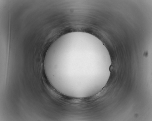 X0000102360086200808011010