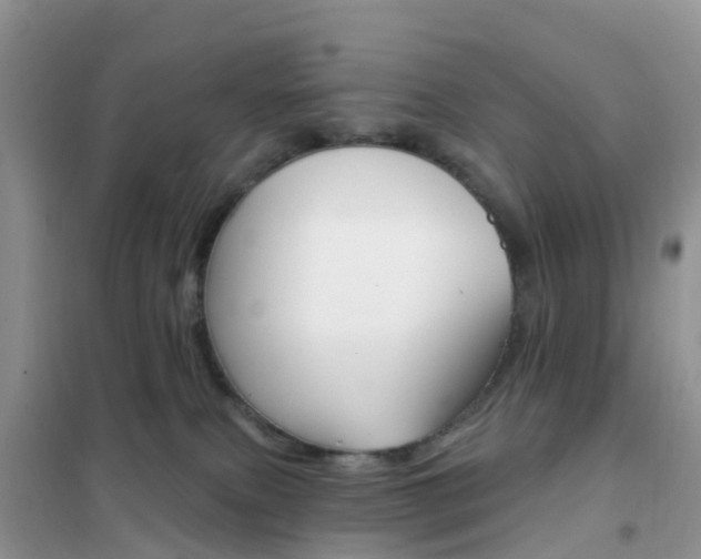X0000102360087200808011010