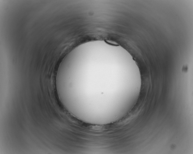 X0000102360088200808011010