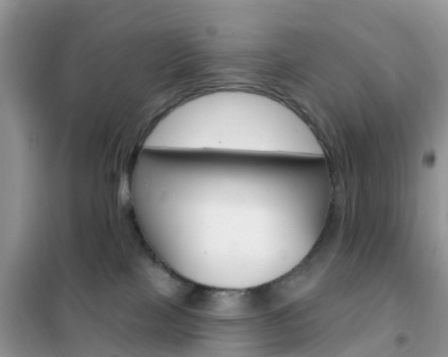 X0000102360089200808011010