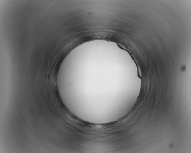 X0000102360091200808011010