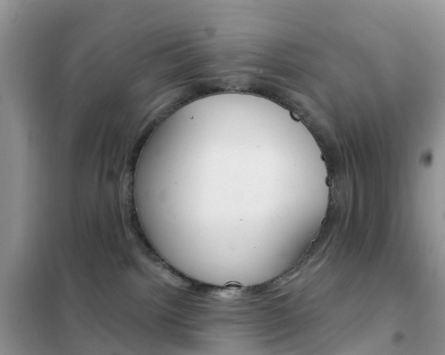 X0000102360092200808011010