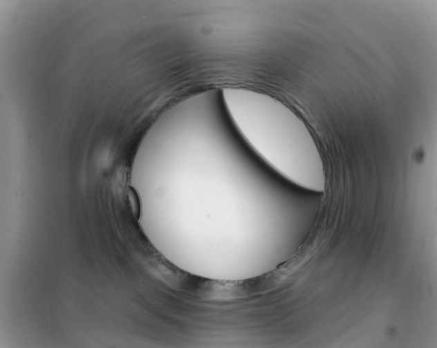X0000102360093200808011010