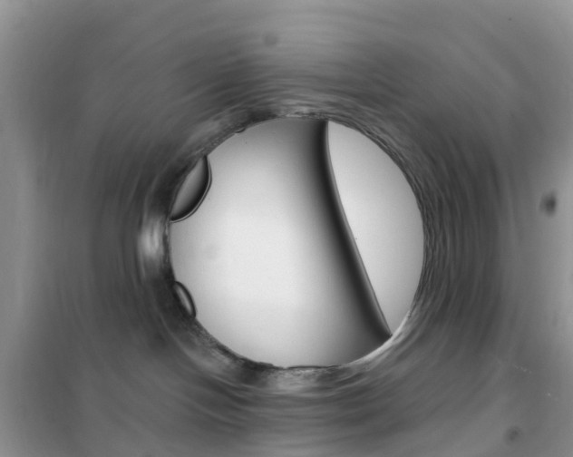 X0000102360094200808011010