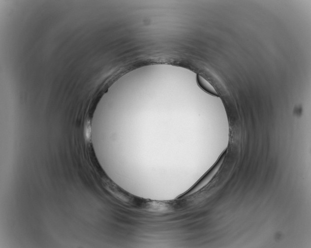 X0000102360095200808011010