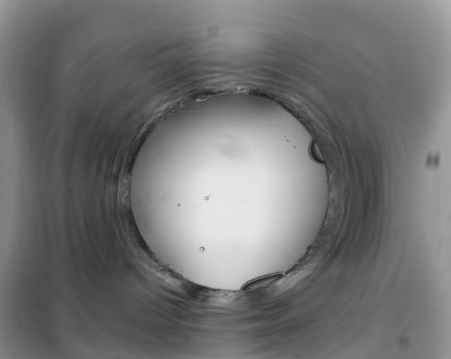 X0000102360096200808011010