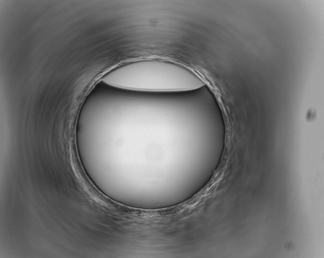 X0000102360097200808011009