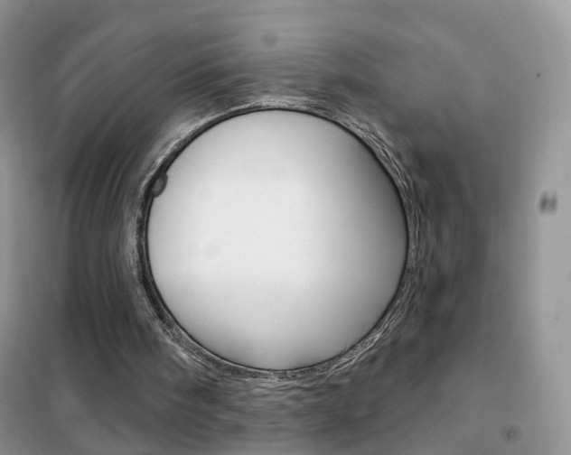X0000102360098200808011009