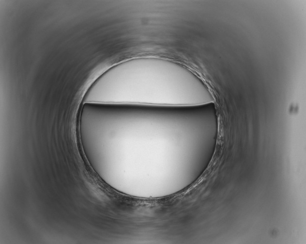 X0000102360099200808011009