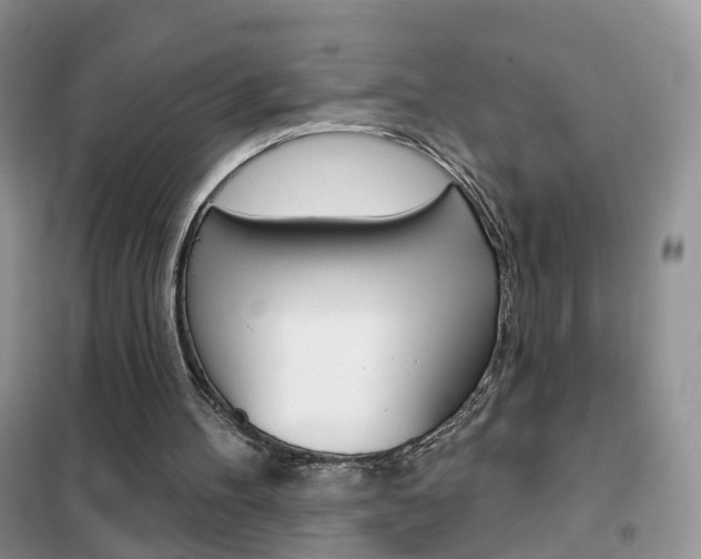 X0000102360100200808011009