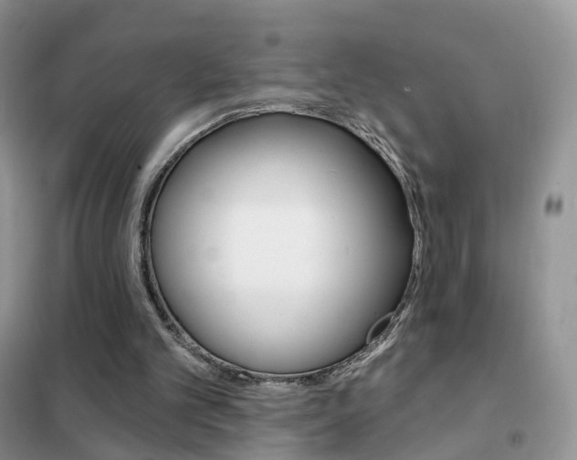X0000102360101200808011009