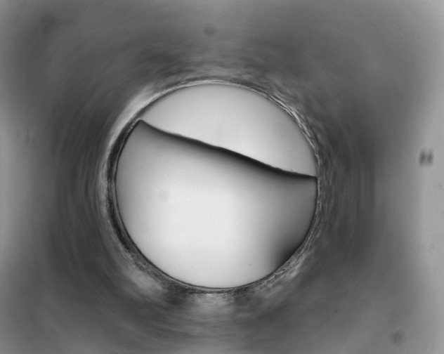X0000102360102200808011009