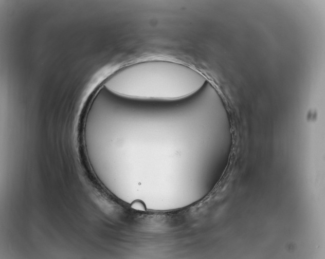 X0000102360104200808011009