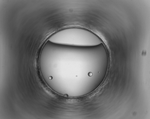 X0000102360105200808011009