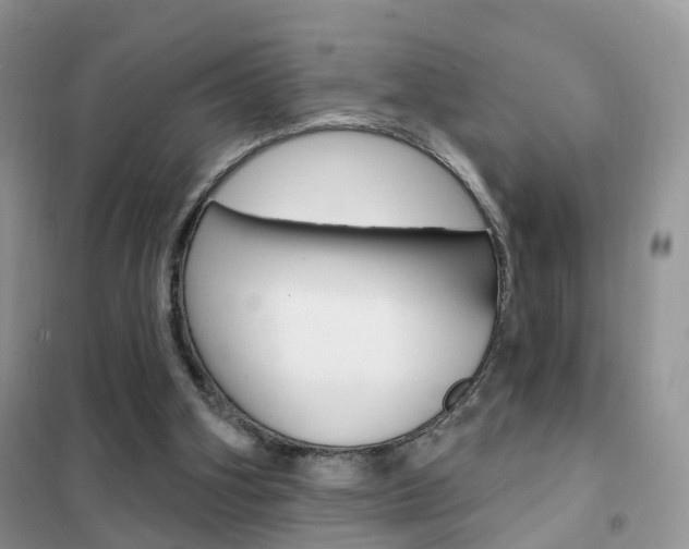 X0000102360106200808011009