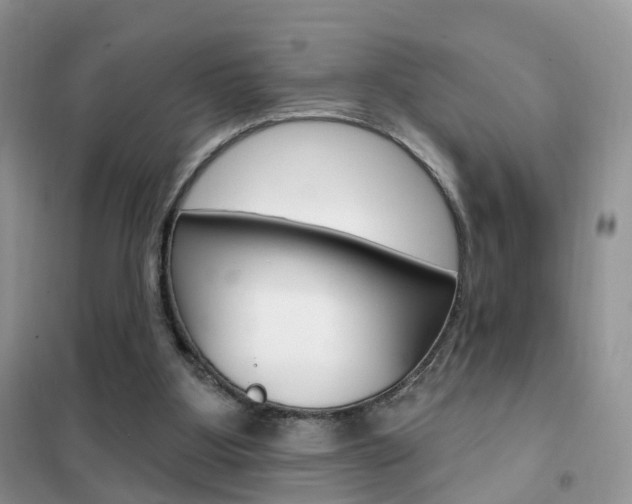 X0000102360107200808011009