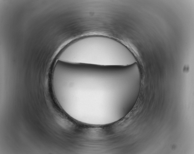 X0000102360108200808011009