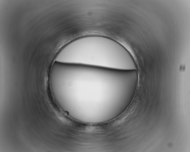 X0000102360109200808011009