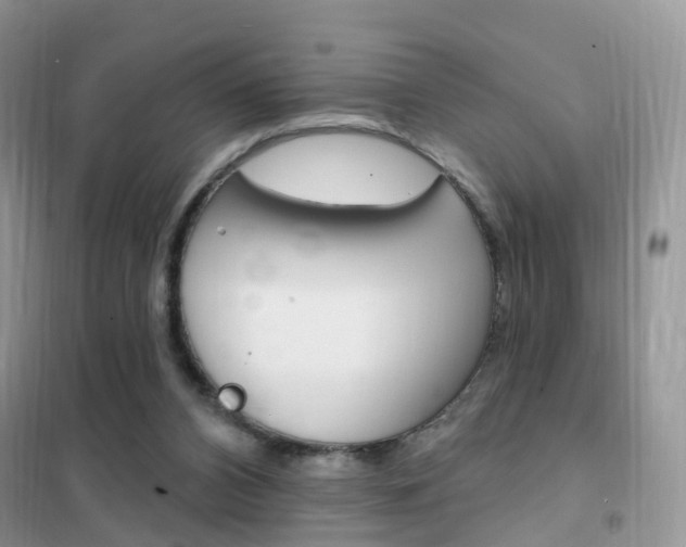 X0000102360112200808011009