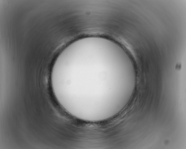 X0000102360115200808011009