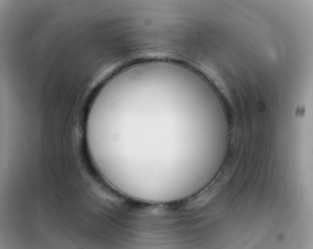 X0000102360116200808011009