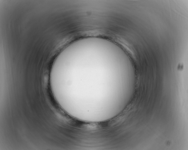 X0000102360118200808011009
