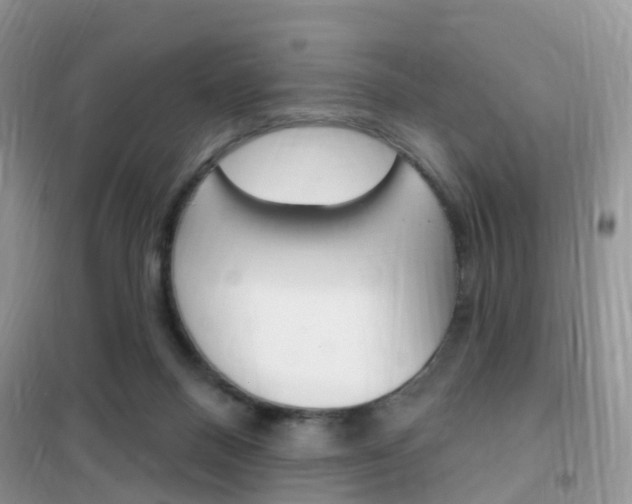 X0000102360120200808011009